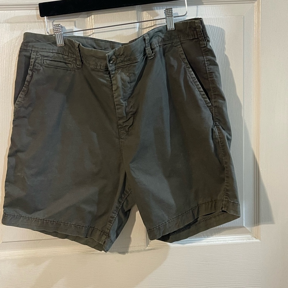 American Eagle Outfitters Dark Green Flat Front Shorts